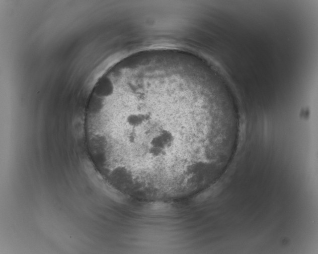 X0000112351409200909241051