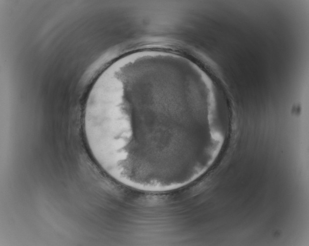 X0000112351411200909241051