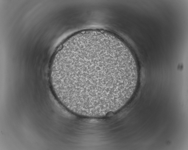 X0000112351412200909241051