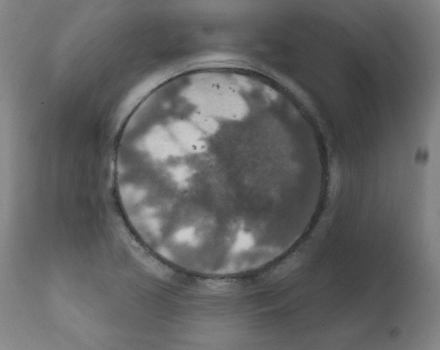 X0000112351413200909241051