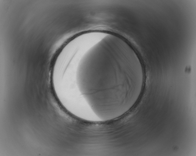 X0000112351414200909241051