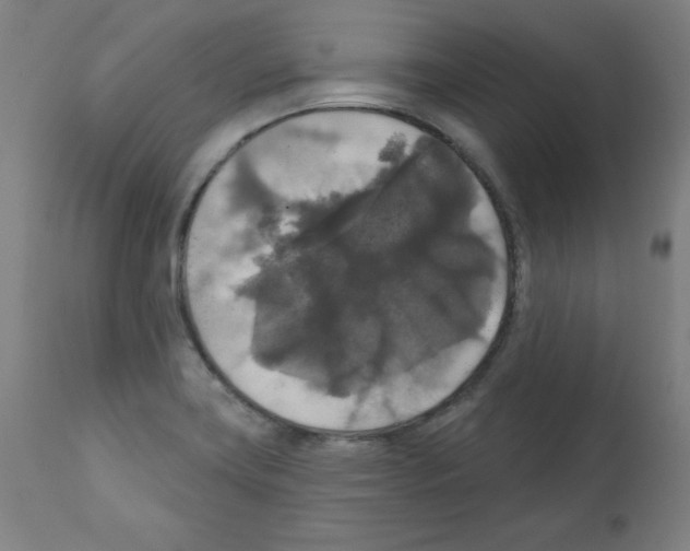 X0000112351419200909241051