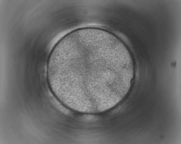 X0000112351420200909241051