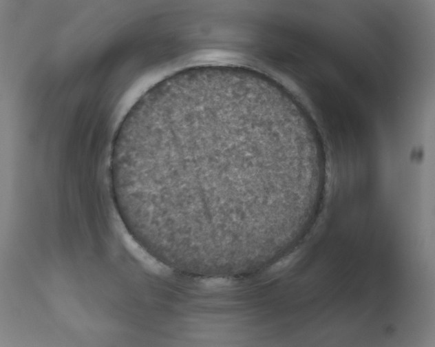 X0000112351421200909241051