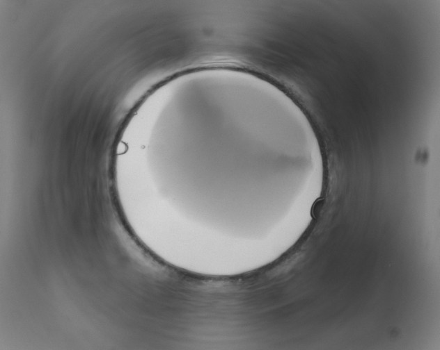 X0000112351422200909241051