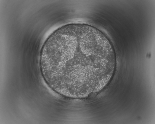 X0000112351424200909241051