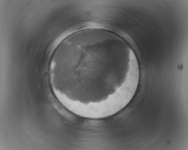 X0000112351427200909241051