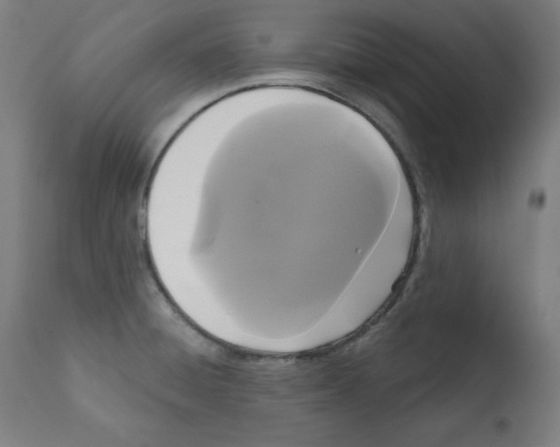 X0000112351428200909241051