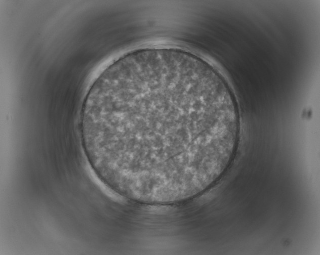 X0000112351429200909241051