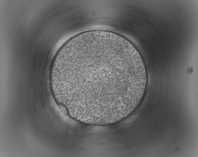 X0000112351430200909241051