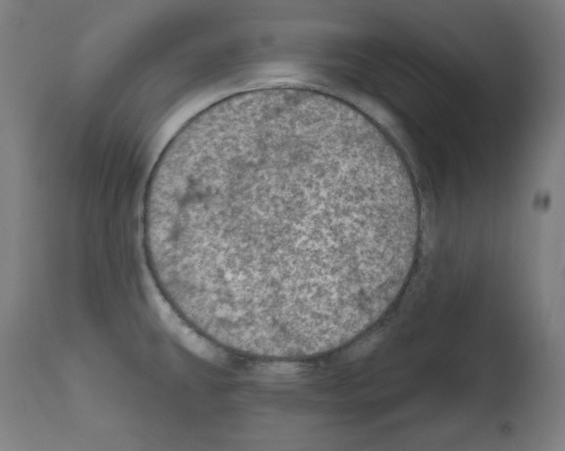 X0000112351431200909241051