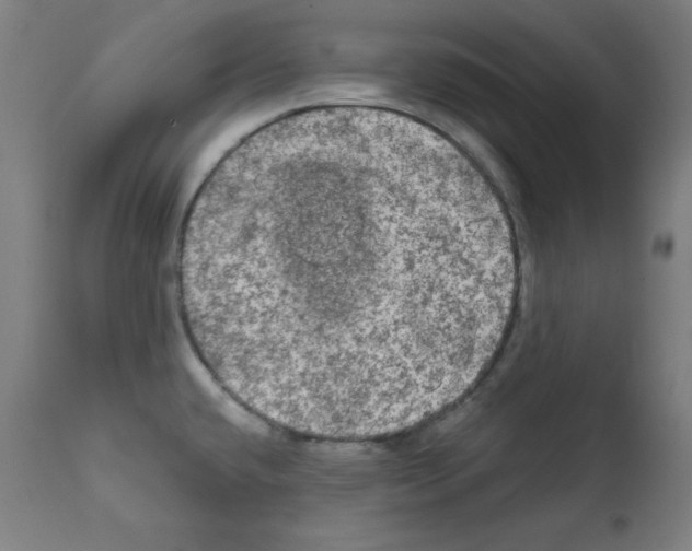 X0000112351432200909241051