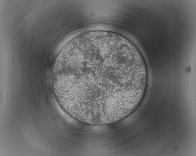 X0000112351433200909241051