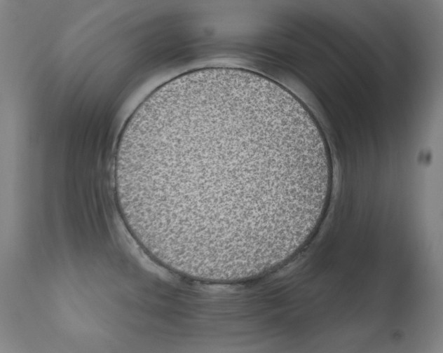 X0000112351436200909241051