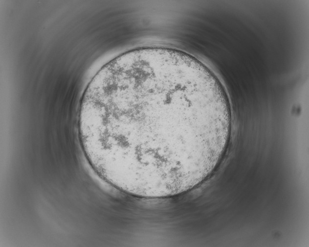 X0000112351437200909241052