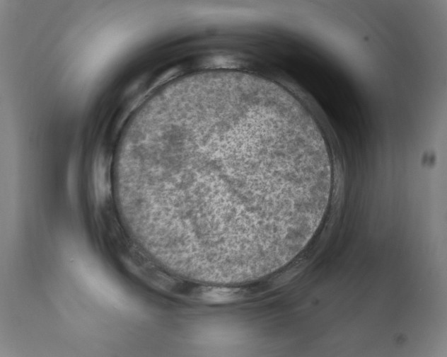 X0000112351439200909241052