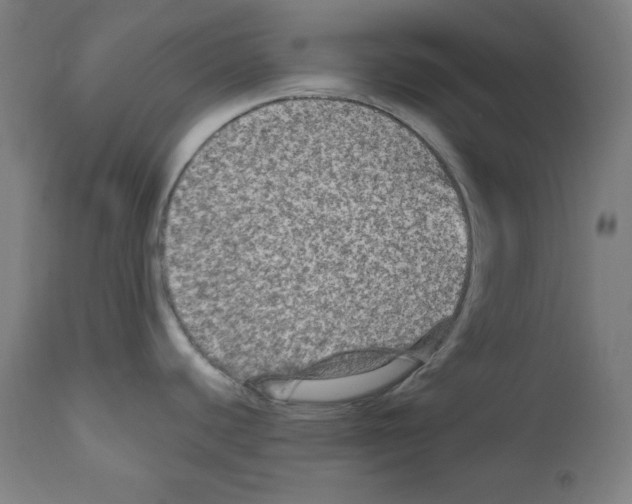 X0000112351440200909241052