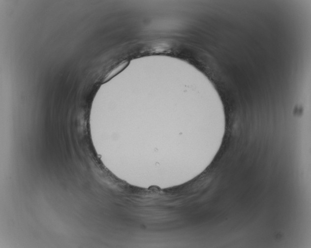 X0000112351442200909241051