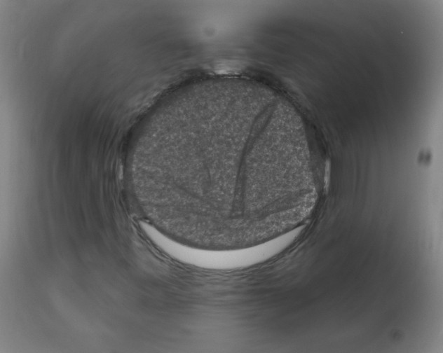 X0000112351443200909241051