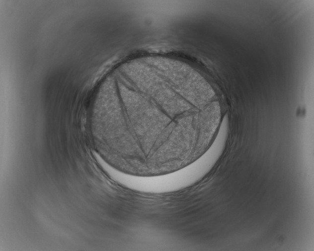 X0000112351444200909241051