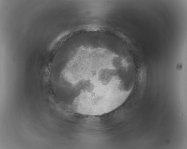 X0000112351446200909241051