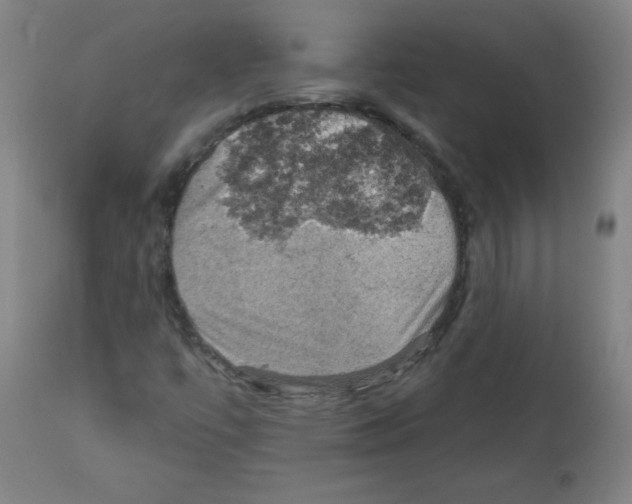 X0000112351447200909241051