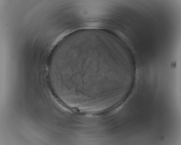 X0000112351449200909241051