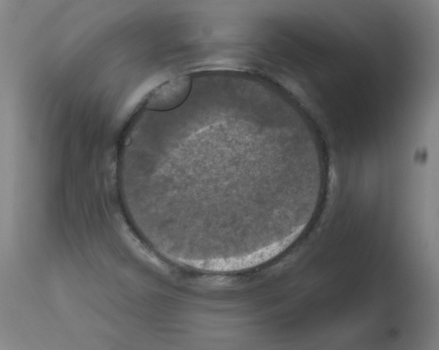 X0000112351450200909241051