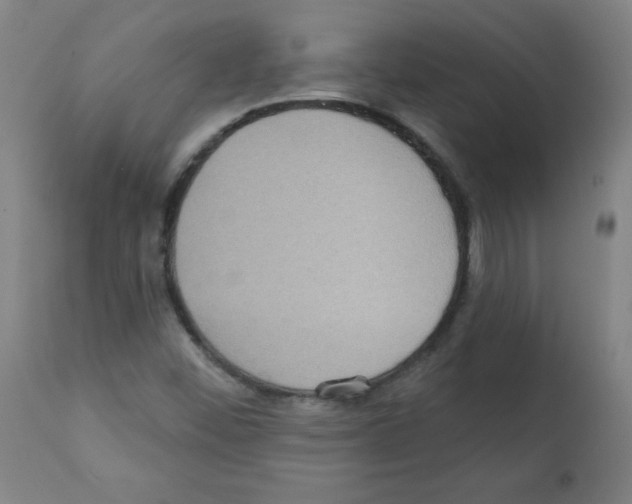 X0000112351452200909241051