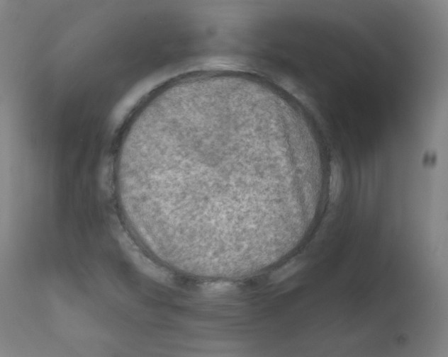 X0000112351454200909241051