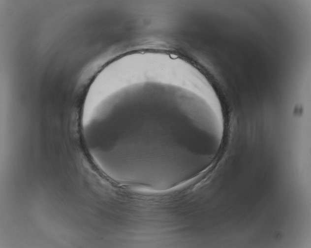 X0000112351455200909241051