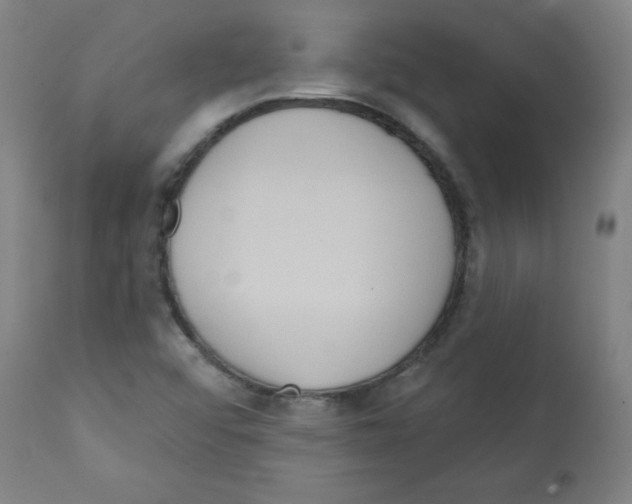 X0000112351456200909241051