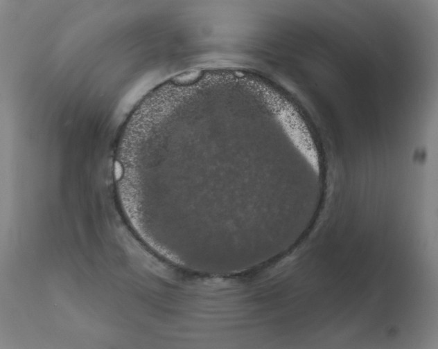 X0000112351459200909241050