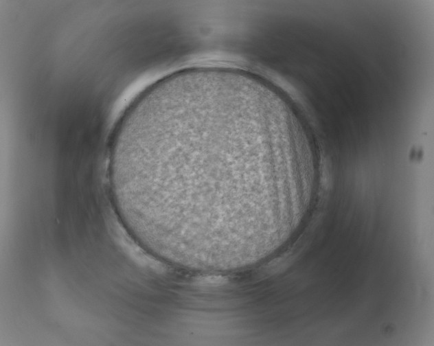 X0000112351462200909241050