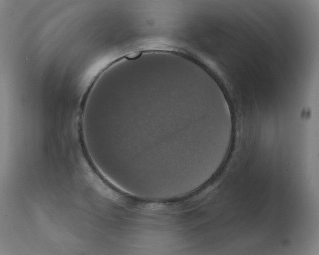 X0000112351463200909241050