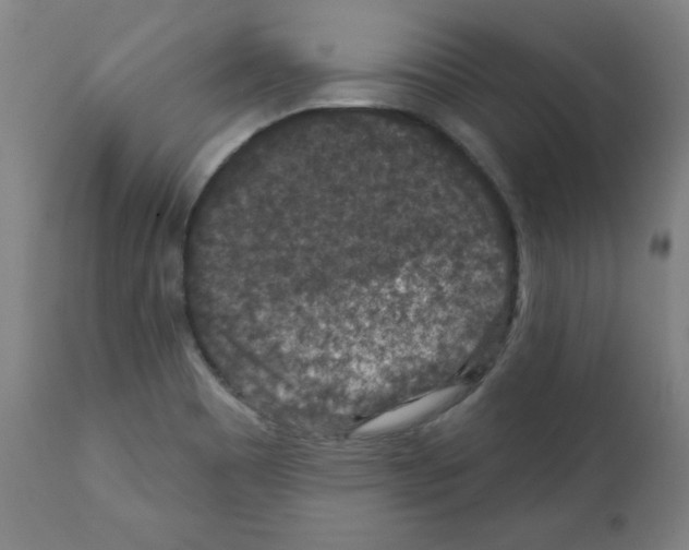 X0000112351465200909241050