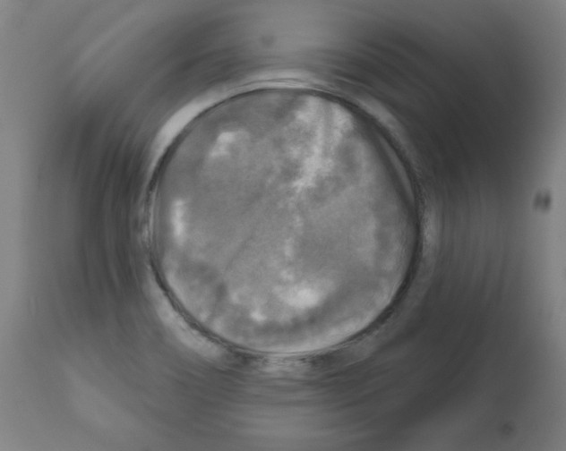 X0000112351466200909241050