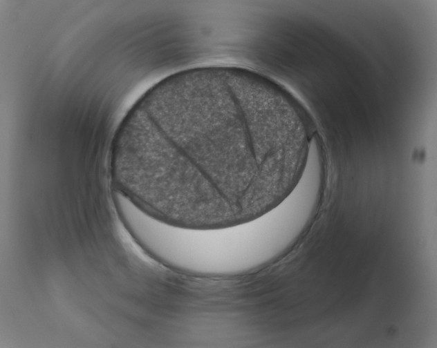 X0000112351468200909241050