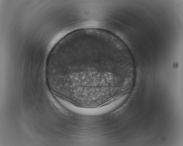 X0000112351469200909241050