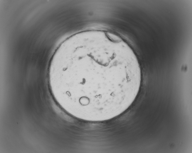 X0000112351471200909241050