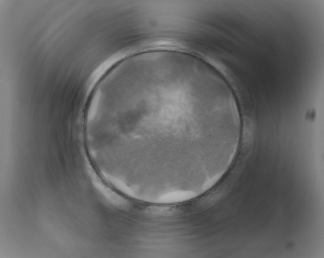 X0000112351474200909241050