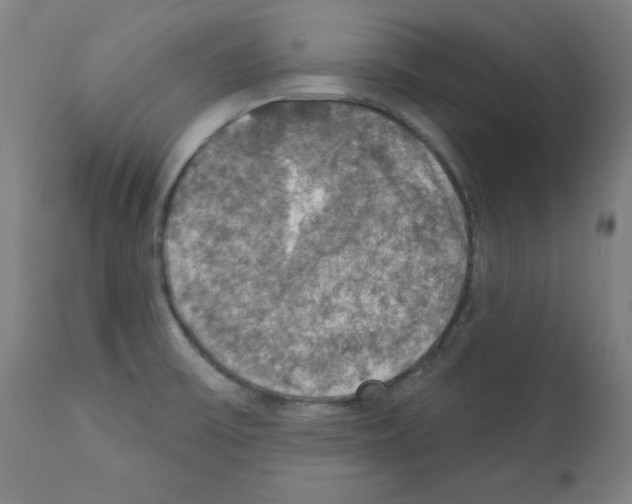 X0000112351475200909241050