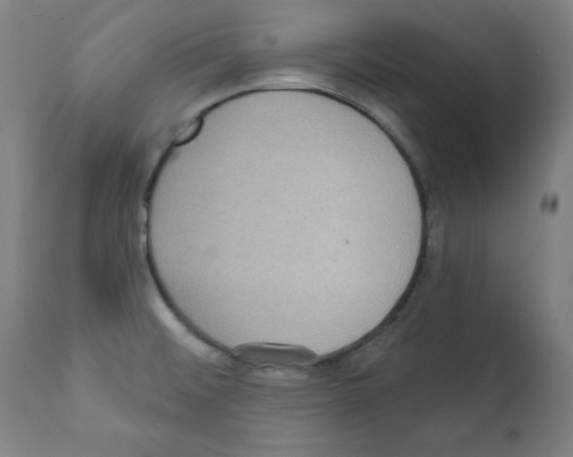 X0000112351476200909241050