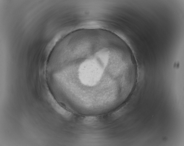 X0000112351477200909241050