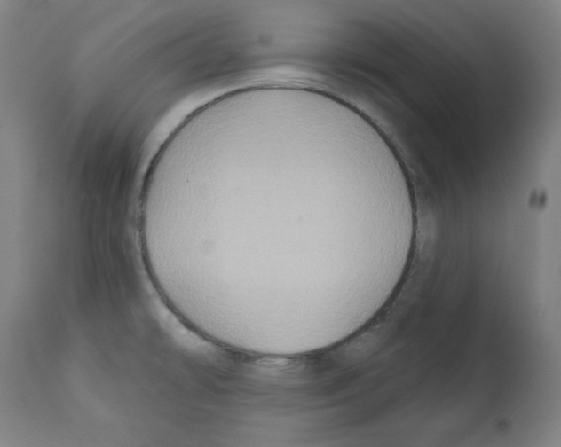 X0000112351478200909241050