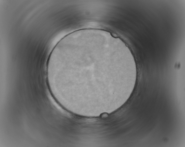 X0000112351479200909241050