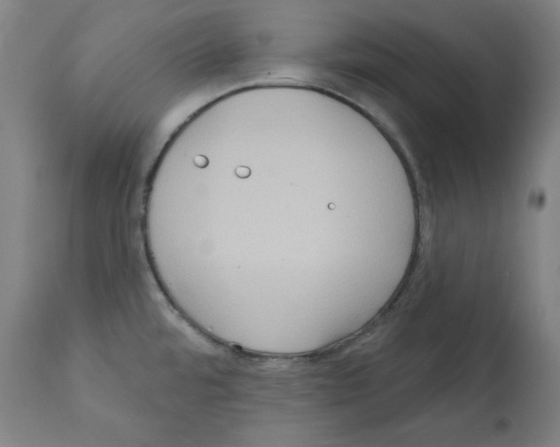 X0000112351480200909241050