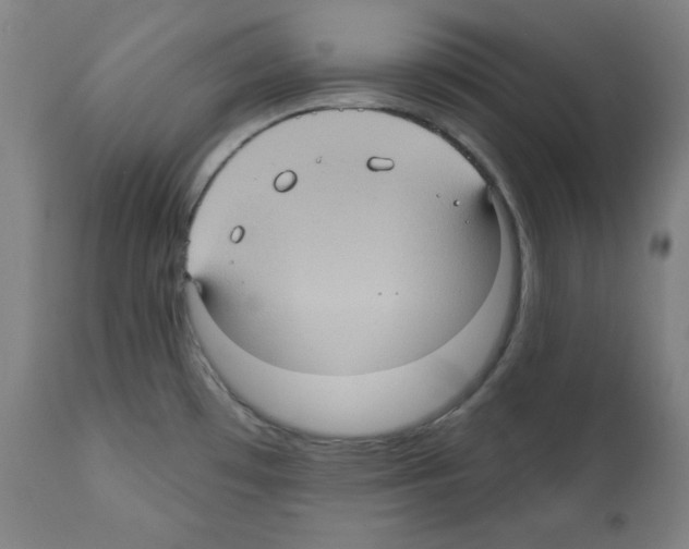 X0000112351481200909241050