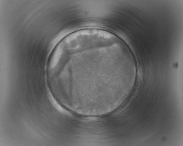 X0000112351482200909241050