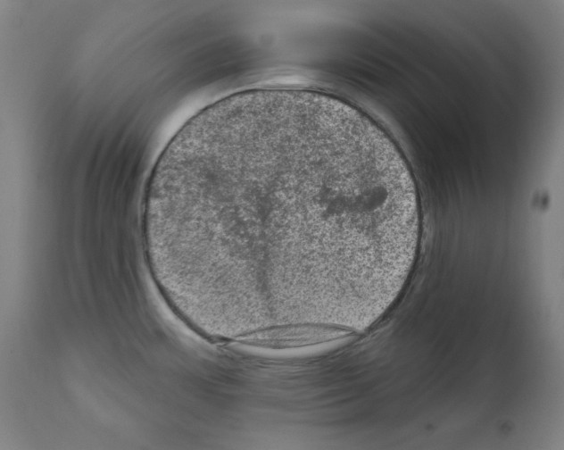 X0000112351483200909241050